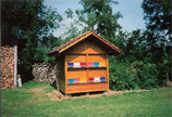 Apiary conventional switzerland